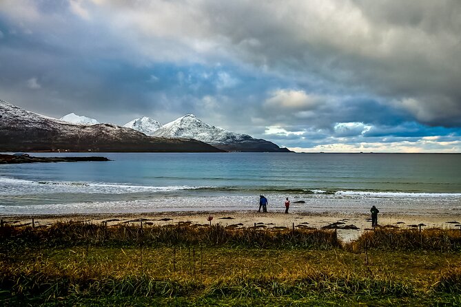 Tromsø Private Arctic Fjord Tour Cruise Excursion Free Pickup - Kvaløysletta and the final coastal stop