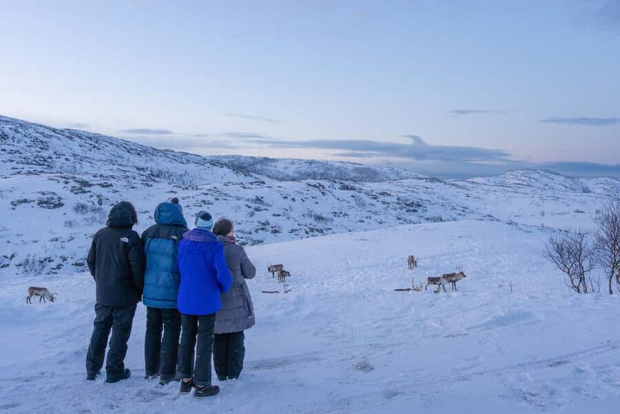 Tromsø: Senja Fjord Tour in Chinese/English Small-Group - Key points at a glance