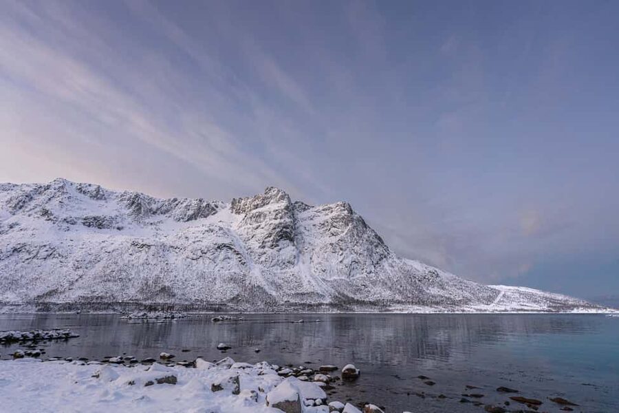 Tromsø: Senja Fjord Tour in Chinese/English Small-Group - Arctic wildlife along the road