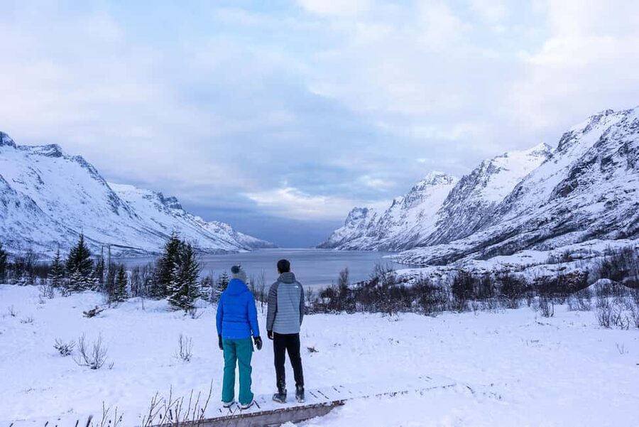 Tromsø: Senja Fjord Tour in Chinese/English Small-Group - Small-group comfort and driving quality