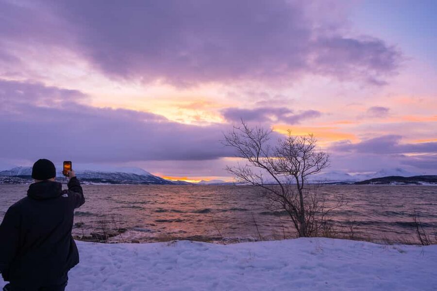 Tromsø: Senja Fjord Tour in Chinese/English Small-Group - Who will enjoy this day most