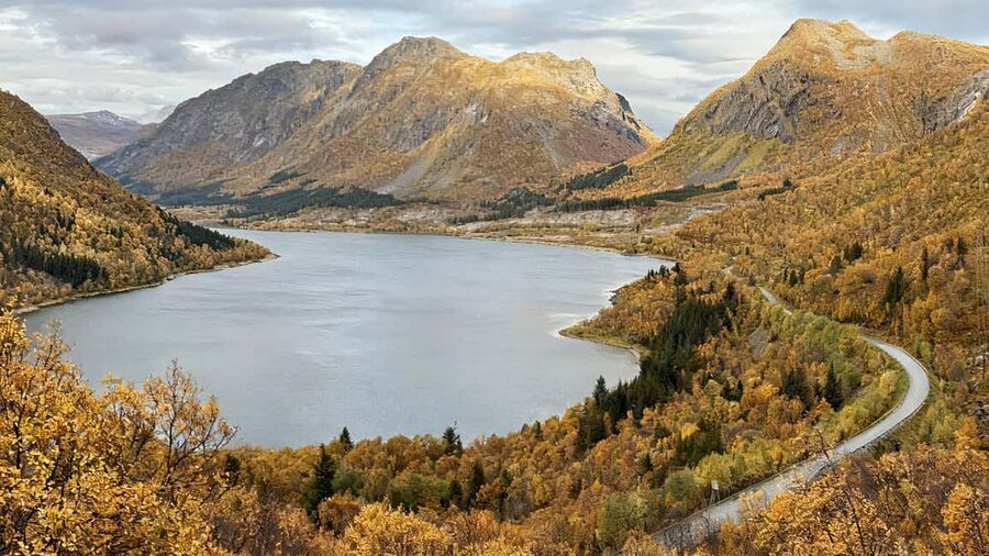 Tromsø: Senja Fjords & Coast Day Tour with FREE Photos - A driver and guide can make or break a long day