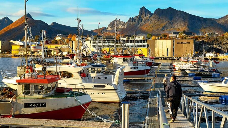 Tromsø: Senja Fjords & Coast Day Tour with FREE Photos - Senjahopen at the end of a narrow fjord