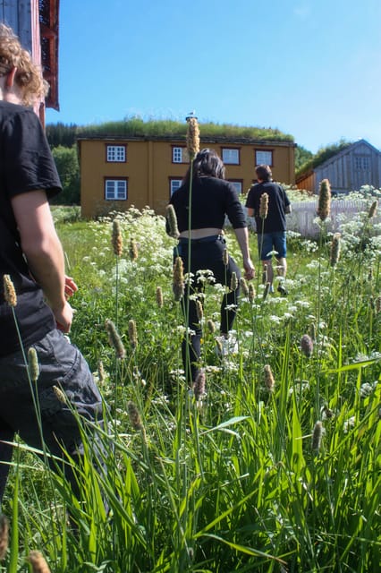 Tromsø: Small group Fjord Adventure, by Local - Key points to know before you book
