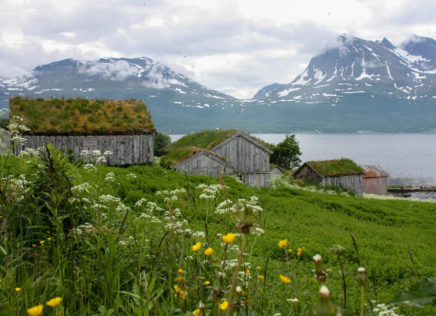 Tromsø: Small group Fjord Adventure, by Local - Ferry history and coastal views at Larseng and Hella