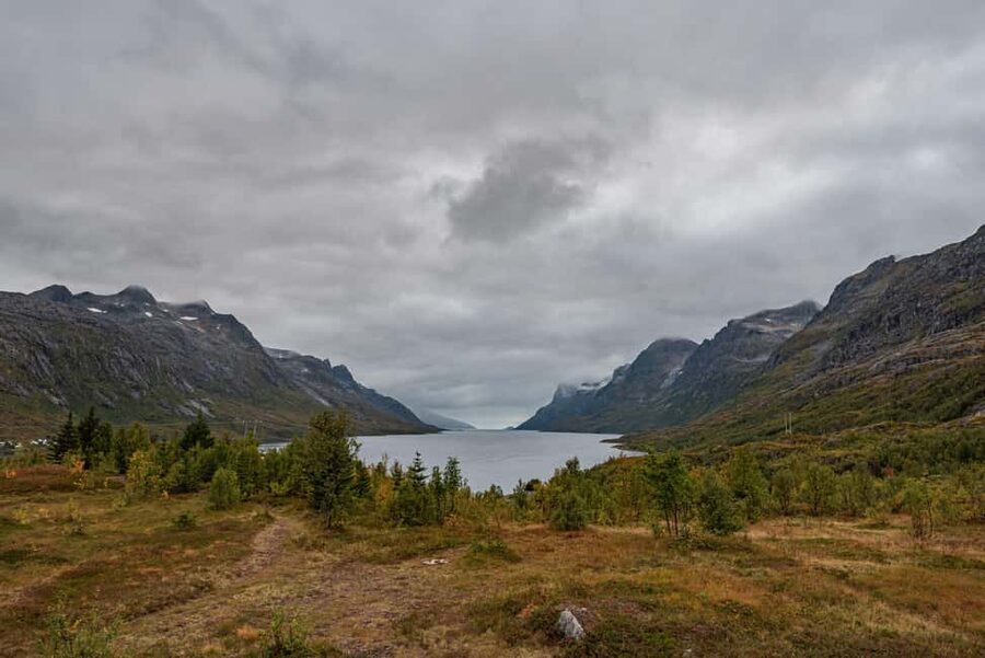 Tromsø: Small Group Kvaløya & Sommarøy Fjord Tour with Lunch - Wildlife watching along the route