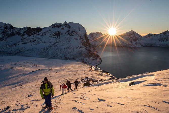 Tromso Snowshoeing - Valley, Fjord Views, Wildlife, Meal & Pickup - Snowshoes, poles, and the first steps