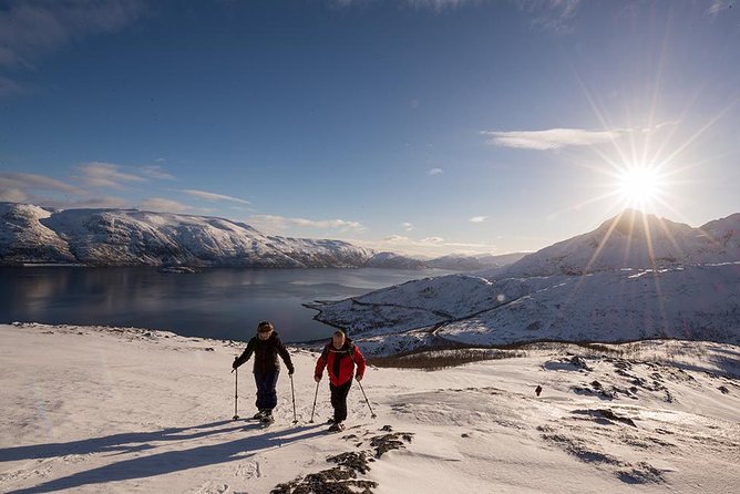 Tromso Snowshoeing - Valley, Fjord Views, Wildlife, Meal & Pickup - Lunch with a view, plus hot drinks