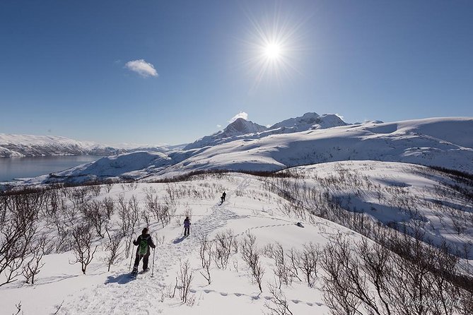 Tromso Snowshoeing - Valley, Fjord Views, Wildlife, Meal & Pickup - Guides who shape the experience
