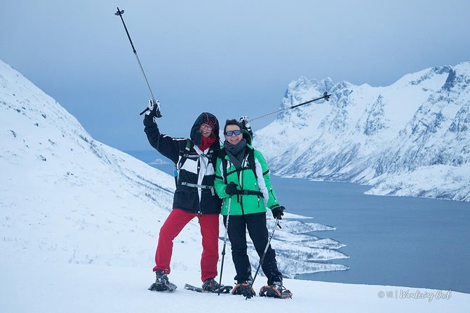 Tromso Snowshoeing - Valley, Fjord Views, Wildlife, Meal & Pickup - What the $129 price includes
