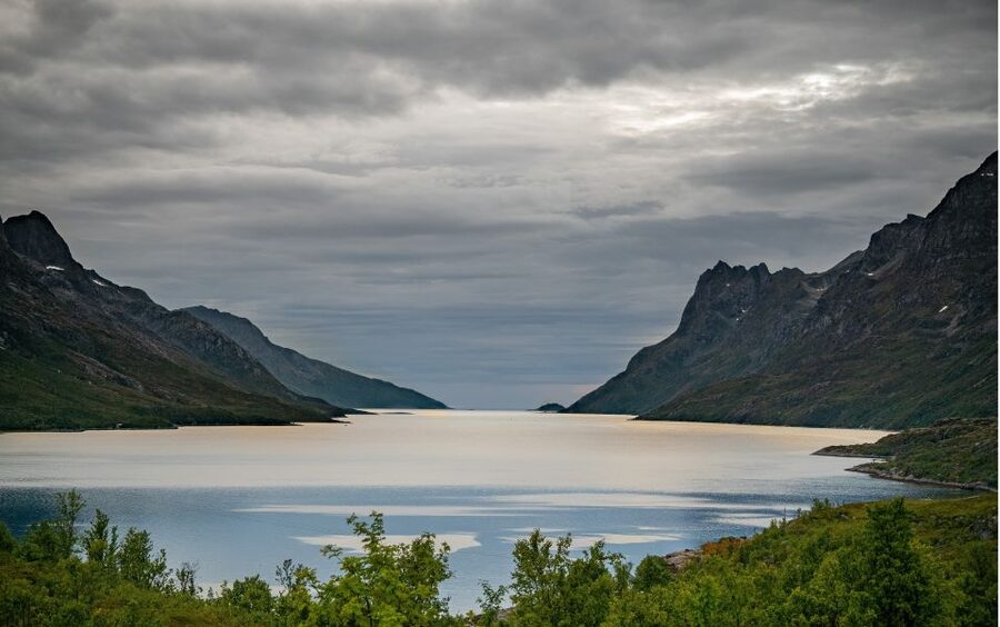 Tromsø: Sommaroy Fjord Tour with Lunch Option - Who should book this Sommarøy tour?