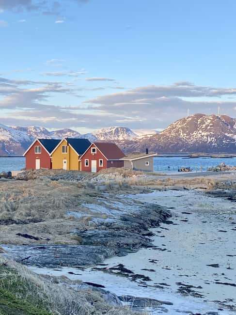 Tromsø: Sommerøya and Kvaløya Arctic Fjords Tour with Lunch - Wildlife adds surprise, but keep expectations realistic