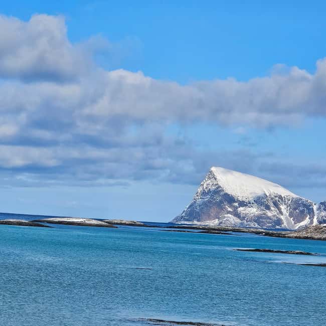Tromsø: Sommerøya and Kvaløya Arctic Fjords Tour with Lunch - What the small group changes