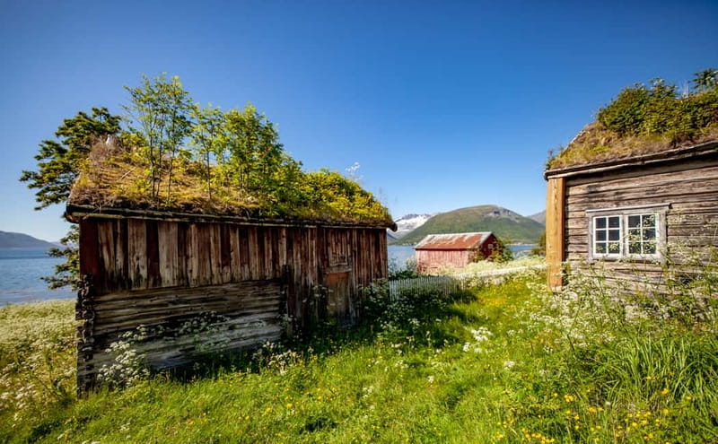 Tromsø: Summer Fjord Road Trip with Citizen Science - Key points to know before booking