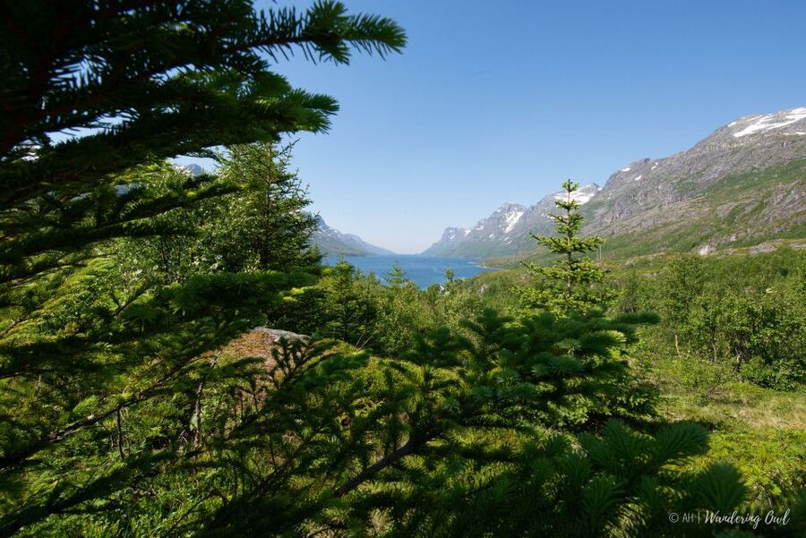 Tromsø: Summer Fjord Road Trip with Citizen Science - Who will enjoy this Kvaløya outing?