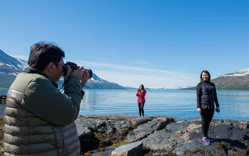 Tromsø: Summer Fjord Road Trip with Citizen Science - Wildlife watching without a guarantee
