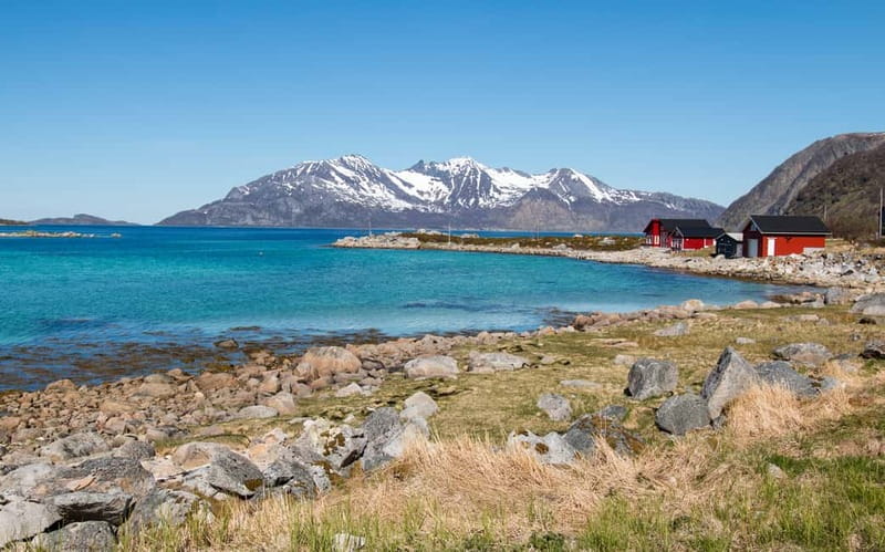 Tromsø: Summer Fjord Road Trip with Citizen Science - How the citizen science works