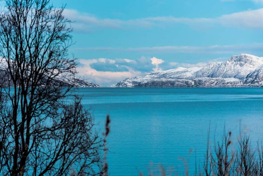 Tromso: Visit 5 Fjords in 4 hours - Photographing the middle of winter with your phone