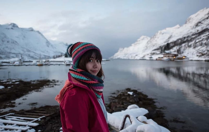 Tromsø: Winter Fjord Road Trip - Fjords, beaches, and mountain views