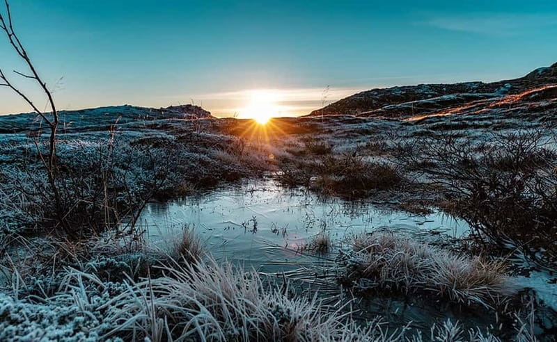 Tromsø: Winter Fjord Road Trip - A picnic beside the Arctic coast