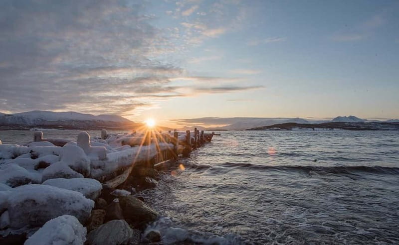 Tromsø: Winter Fjord Road Trip - Wildlife watching without false promises