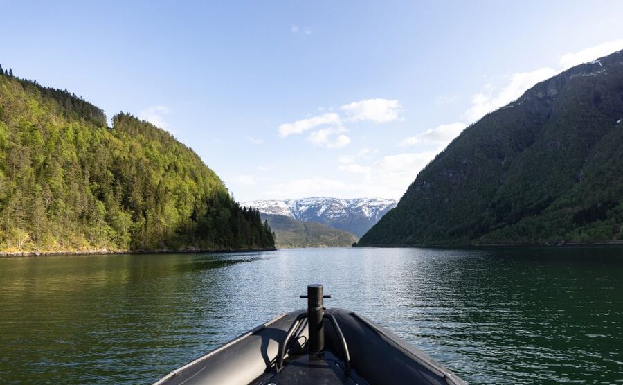 Ulvik: Hardangerfjord Ultimate RIB Tour - Osafjord and its roadless settlements
