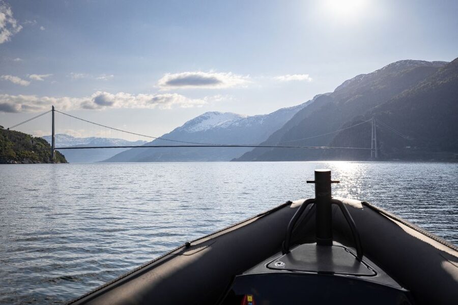Ulvik: Hardangerfjord Ultimate RIB Tour - Is $141 a fair price?