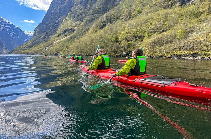 Vossevangen: Nærøyfjord Full-Day Guided Kayaking Trip - What the $185.65 price really buys you