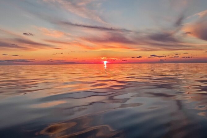Vrsar, Lim Fjord and Rovinj Day Tour by Boat with Drinks - Drinks, dolphins, and the feel of the boat
