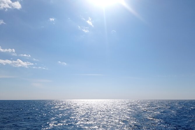 Vrsar, Lim Fjord and Rovinj Day Tour by Boat with Drinks - Who should book this boat trip?