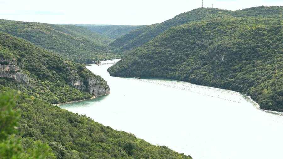 Vrsar: Lim Fjord Boat Tour with Swimming near Pirate's Cave - Who should book this Vrsar boat trip
