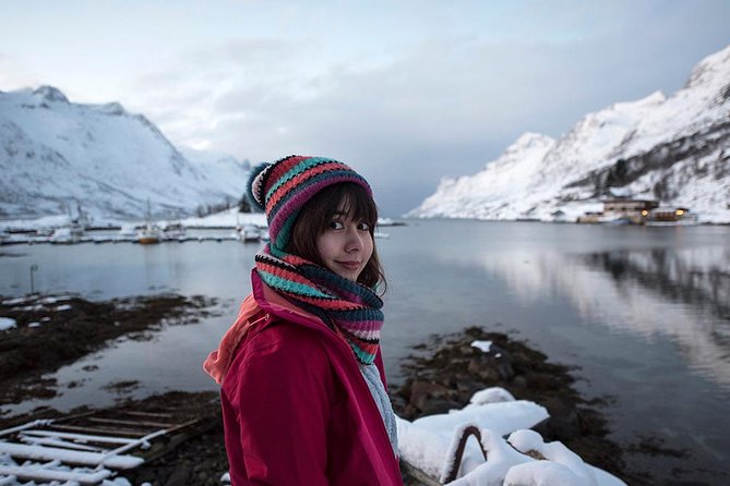 Winter Fjord Road Trip with Wandering Owl - Key points to know before you book