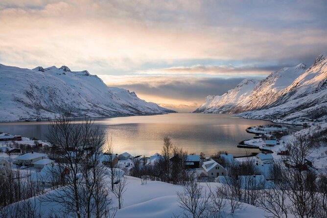 Winter Fjord Road Trip with Wandering Owl - Ersfjordbotn and the big fjord views