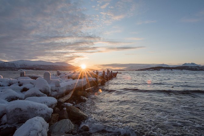 Winter Fjord Road Trip with Wandering Owl - The lunch stop is simple, warm, and weather-dependent