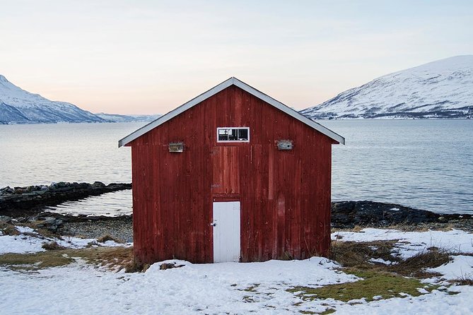 Winter Fjord Road Trip with Wandering Owl - Grotfjord: a first taste of Kvaløya’s open country