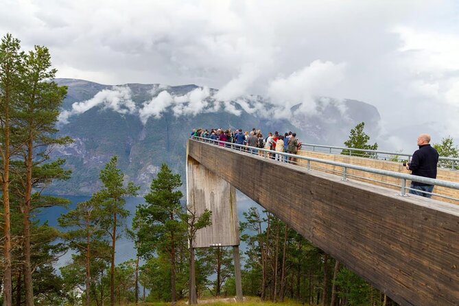 Winter Fjord Tour to Nærøyfjord, Flam and Stegastein from Bergen - Price, meals and what is included
