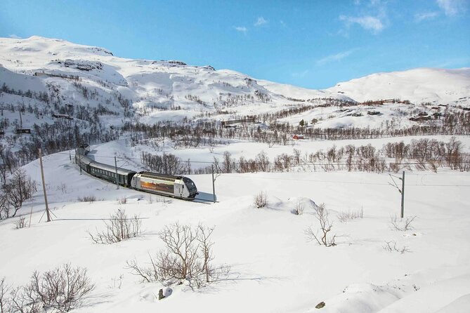 Winter Tour Viking Village, Nærøyfjord Cruise and Flåm Railway - Gudvangen leads into Viking Valley