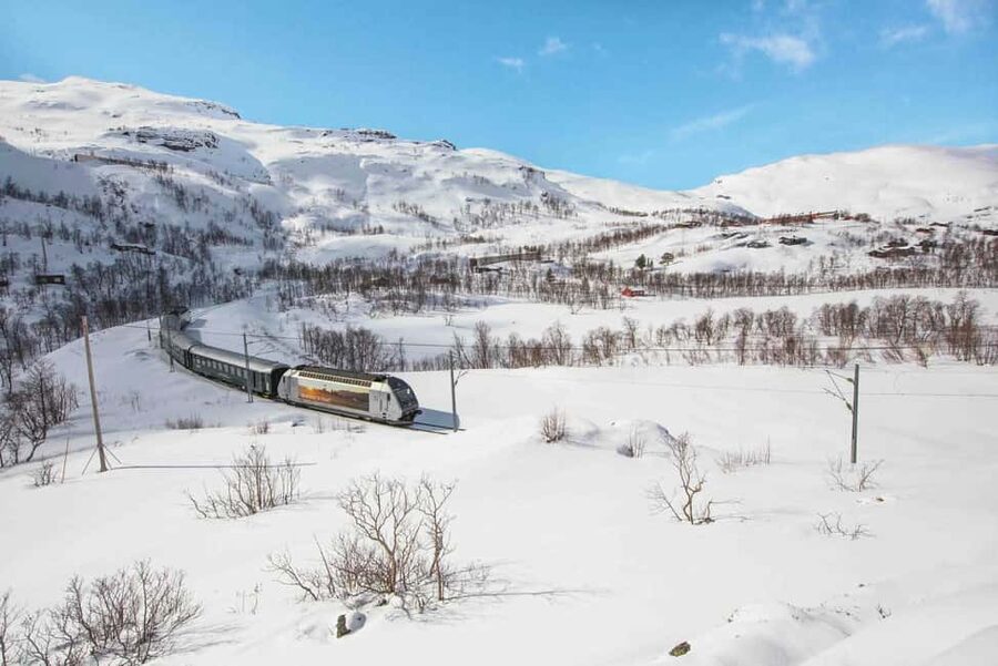Winter Tour Viking Village, Nærøyfjord Cruise & Flåm Railway - My recommendation